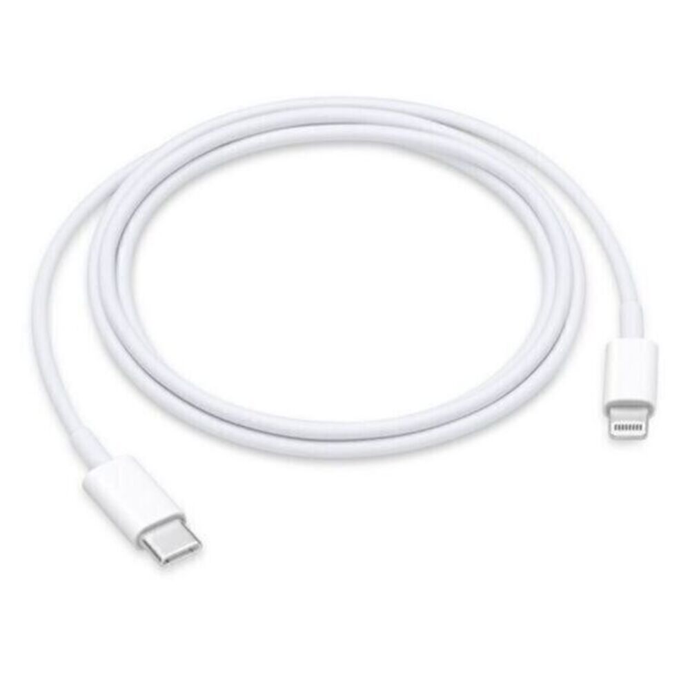 Apple iPhone charger